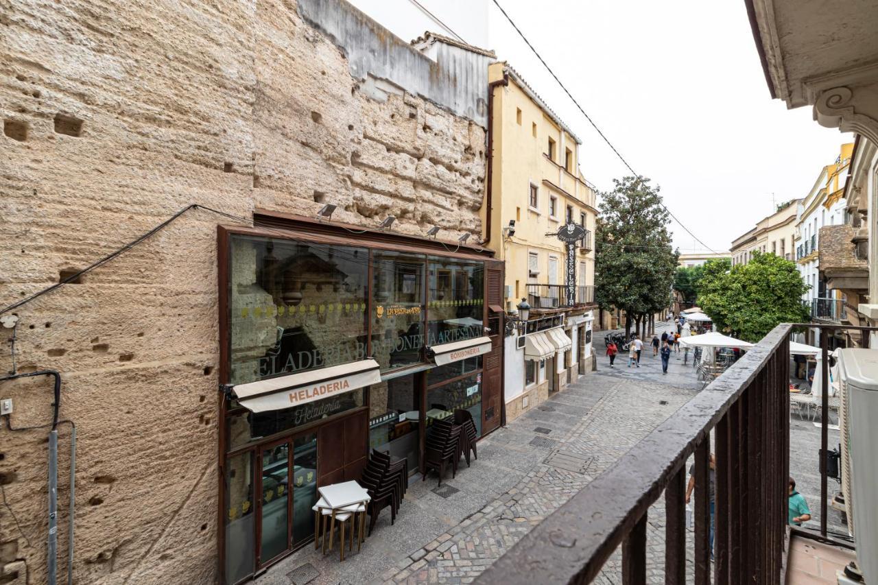 Allo Consistorio Centro 2 Appartamento *